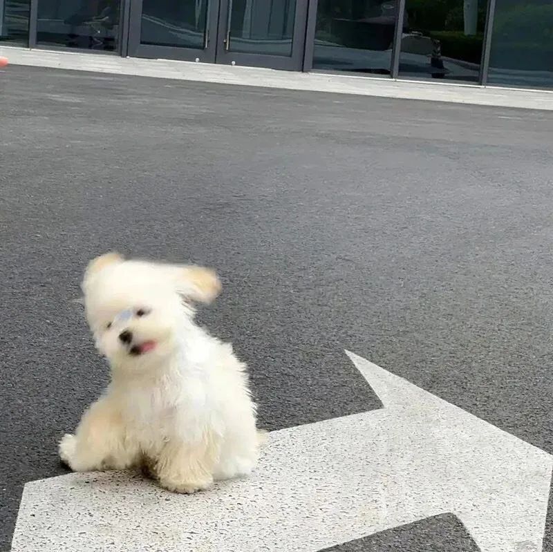 背景图