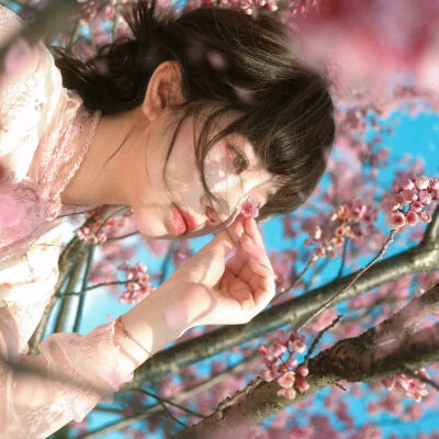 百花盛开，各有其美