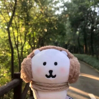 自嘲熊