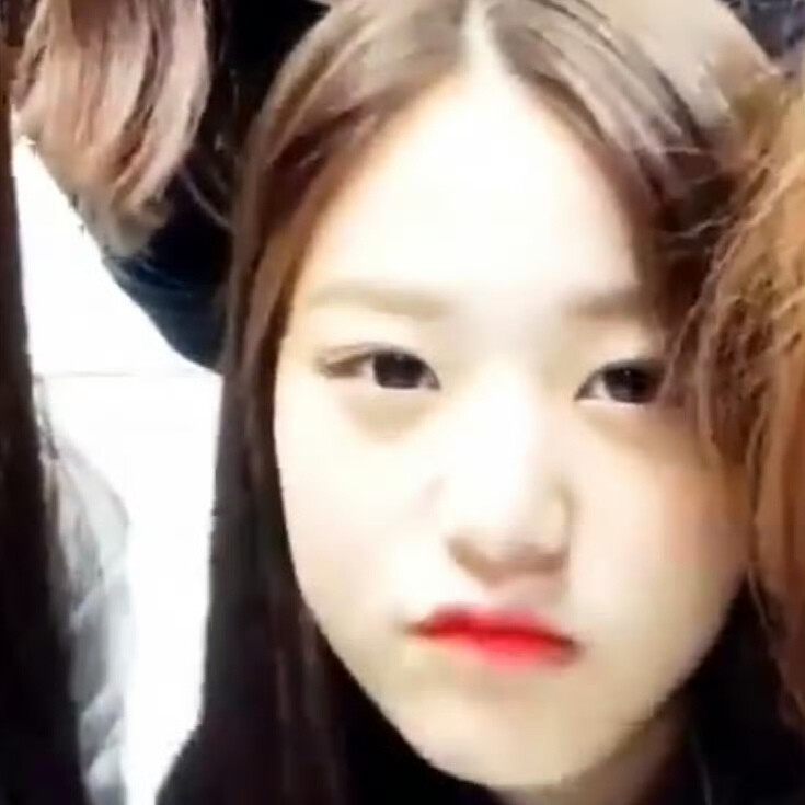 养宠物被骗八百块