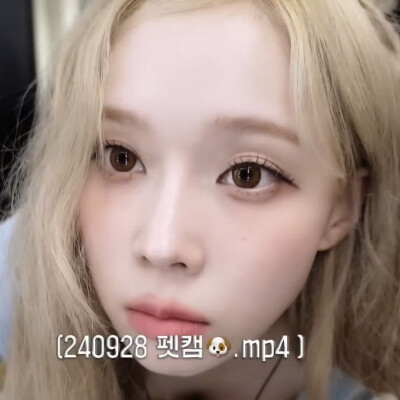 宠物摄像头拍到的家狗