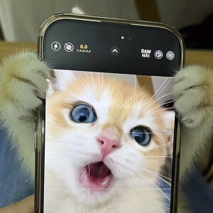 眼鏡娘の視線ᗜωᗜ