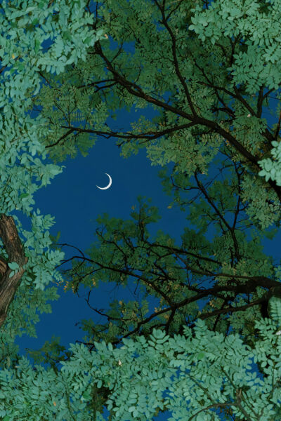 来自一位抖音博主，忘记名字了，有知道麻烦评论区告诉一下。