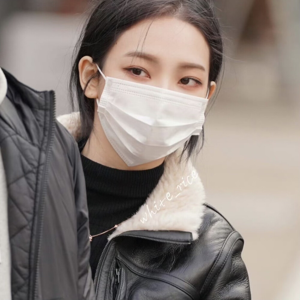 小猫