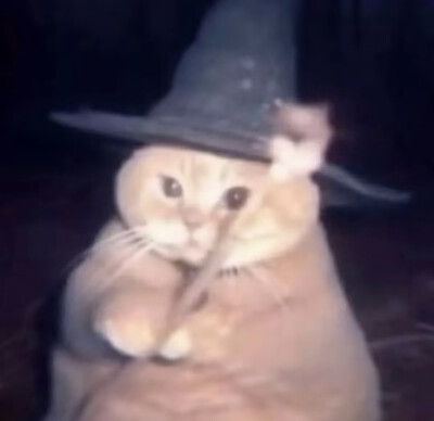 猫猫怪图