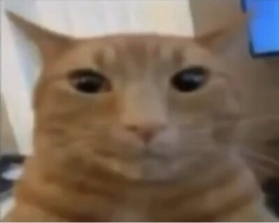 猫猫怪图