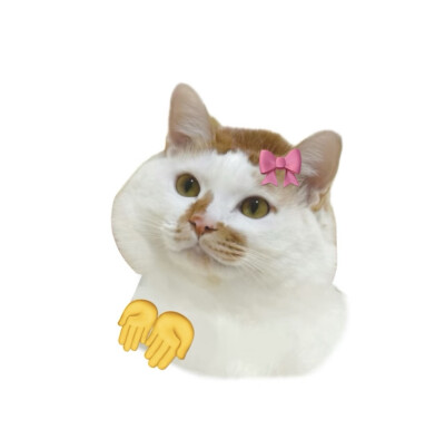 pink叨叨.
