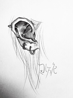 耳朵