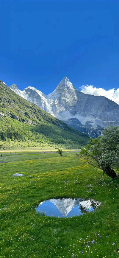 风景壁纸