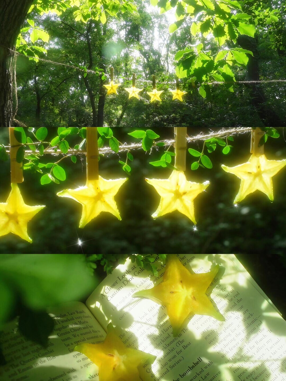 绿林里的杨桃星灯