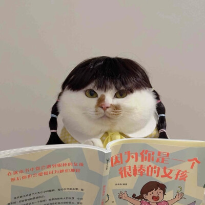 pink叨叨.