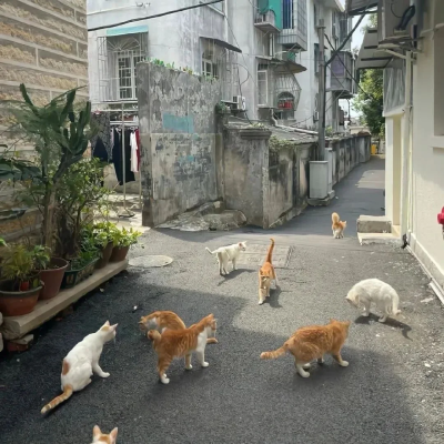 治愈背景图