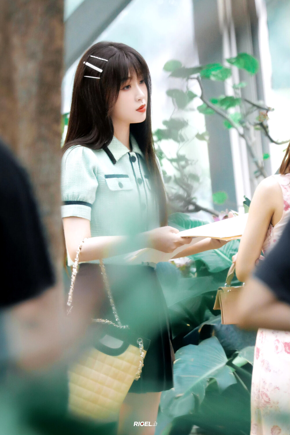 虞美人
