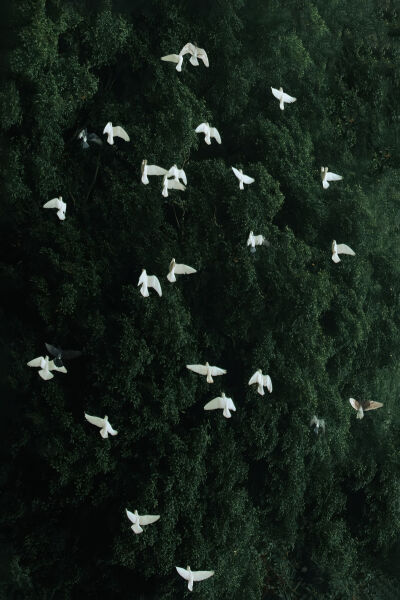 来自一位抖音博主，忘记名字了，有知道麻烦评论区告诉一下。