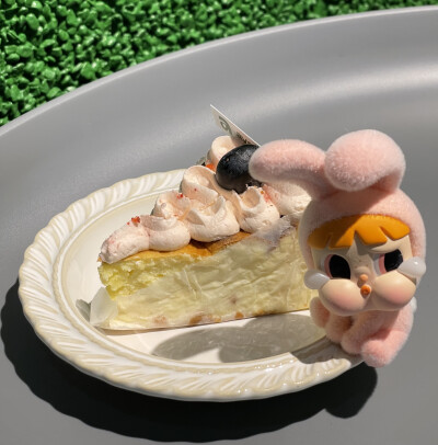 莓果巴斯克