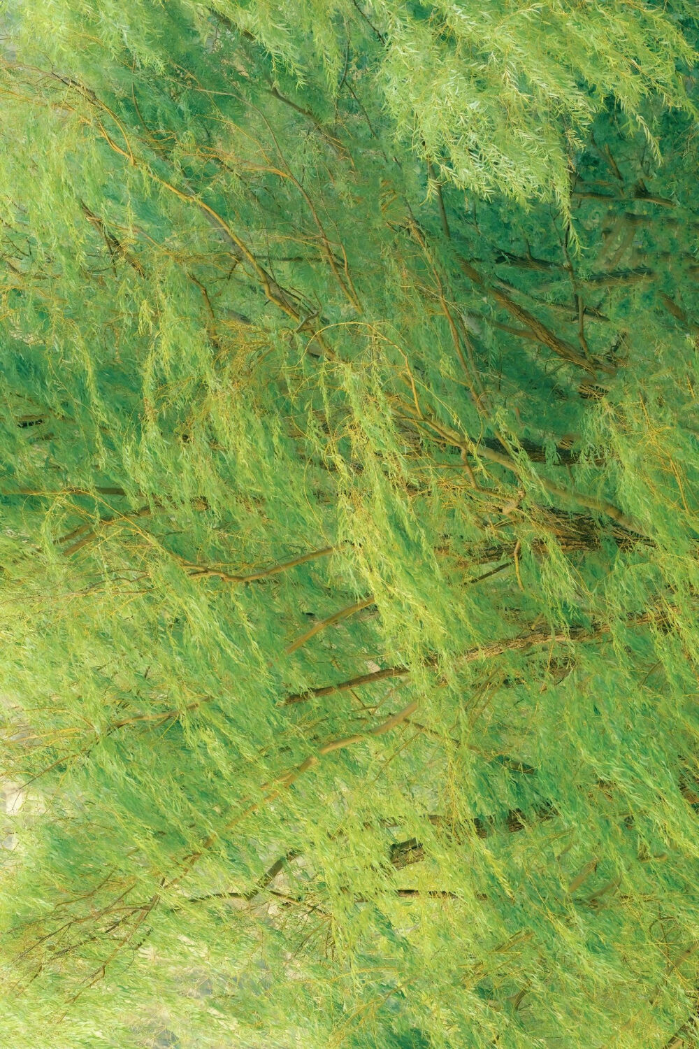 来自一位抖音博主，忘记名字了，有知道麻烦评论区告诉一下。