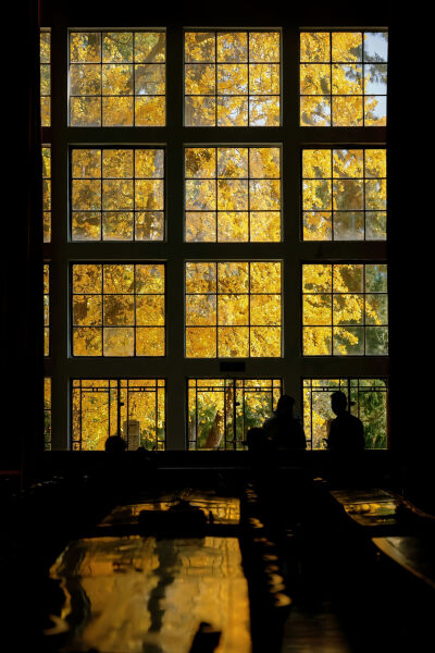 来自一位抖音博主，忘记名字了，有知道麻烦评论区告诉一下。