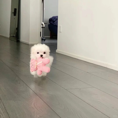 治愈背景图