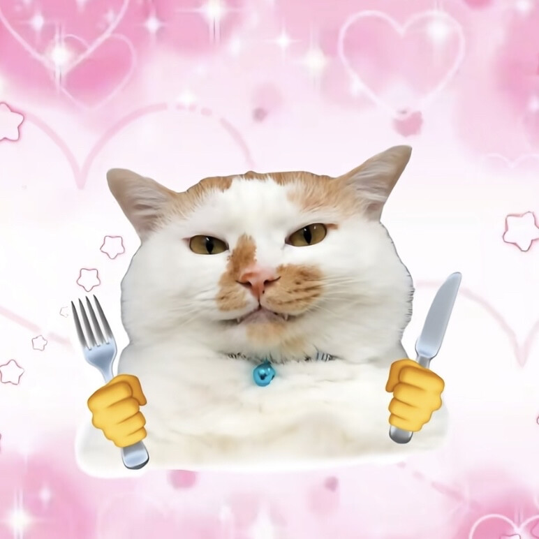 pink叨叨.