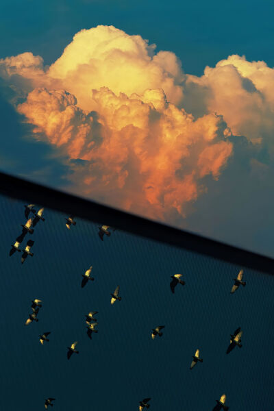 来自一位抖音博主，忘记名字了，有知道麻烦评论区告诉一下。