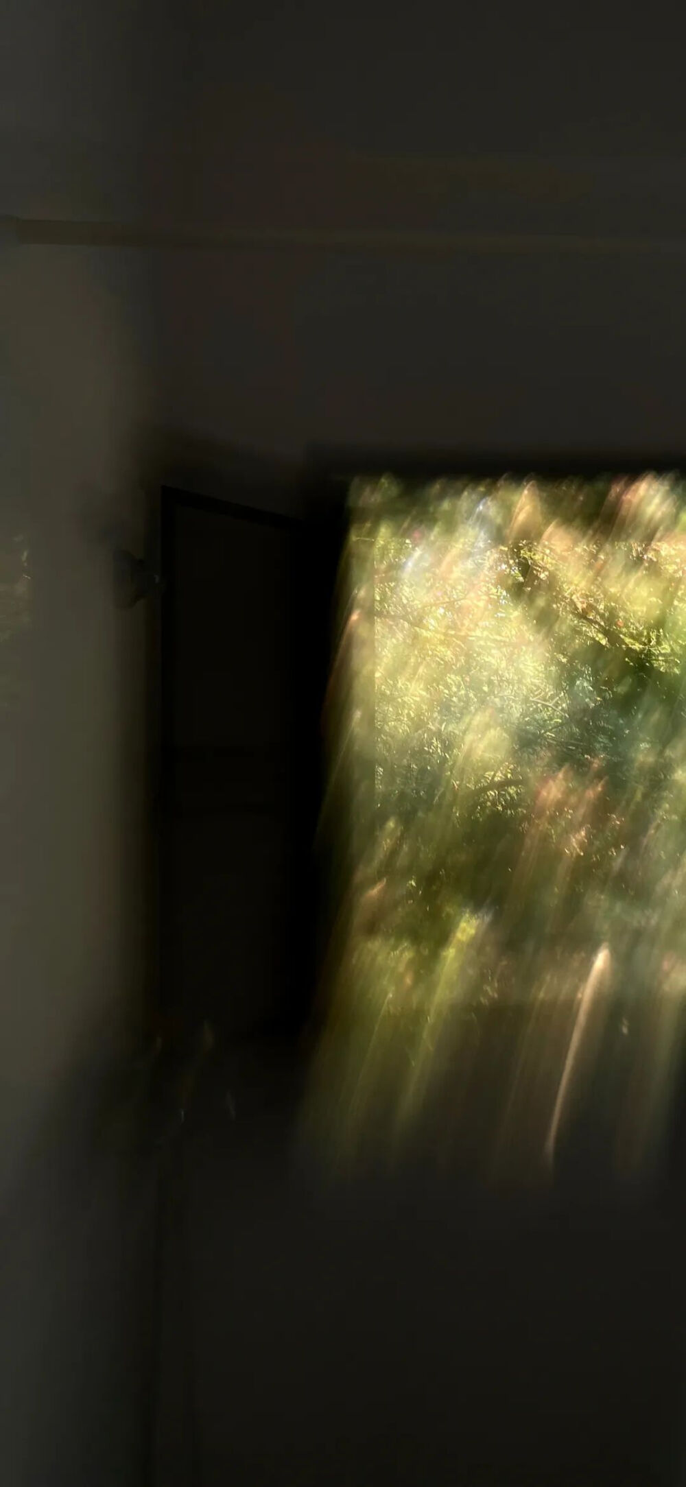 我扔掉了所有的昨天