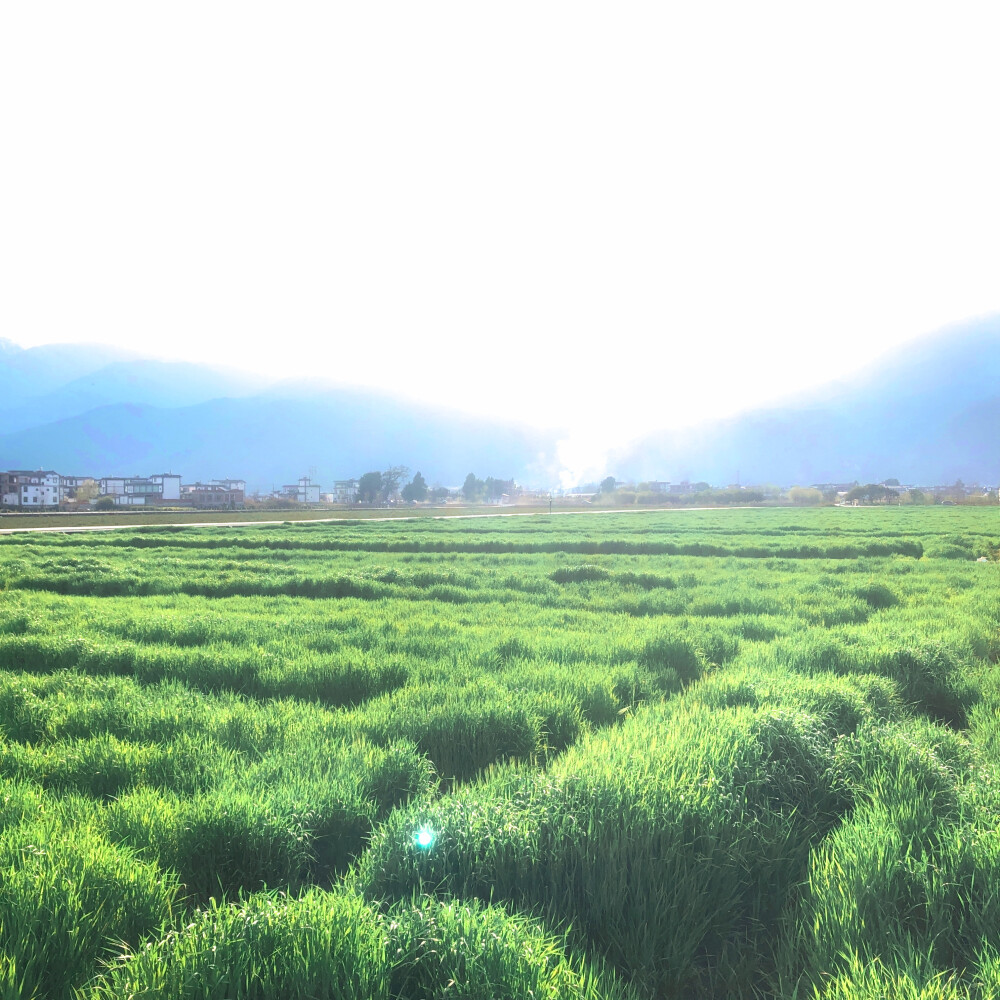 在生活的画卷里，每一刻都是自然的诗篇