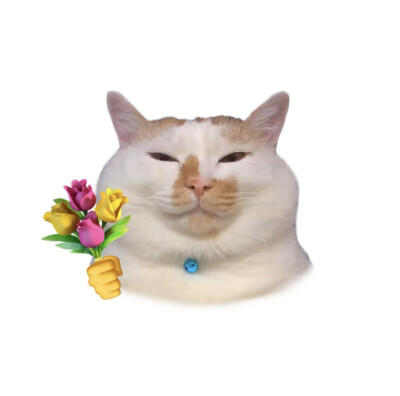 pink叨叨.