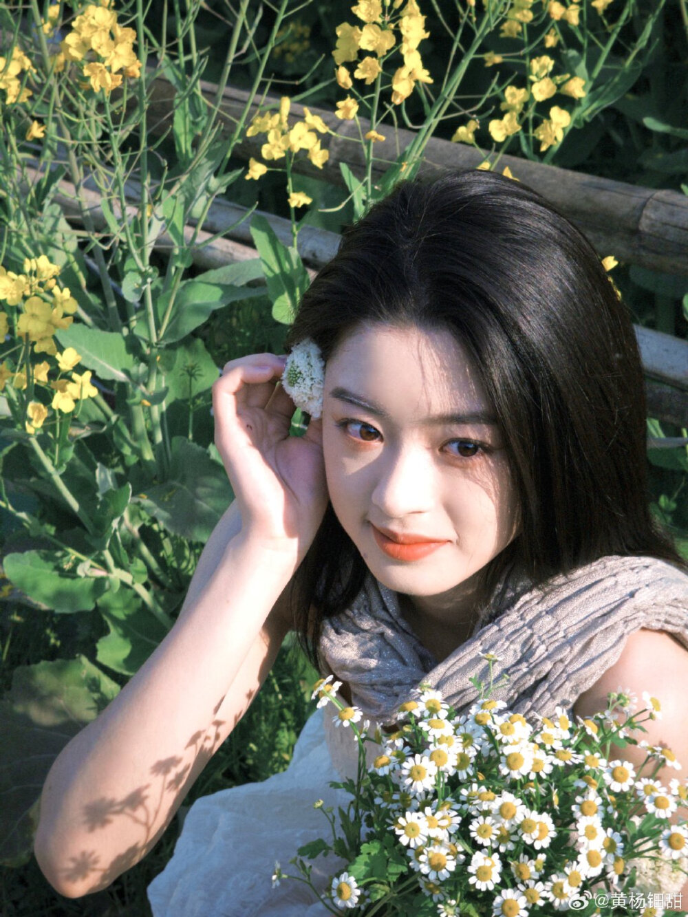 黄杨钿甜