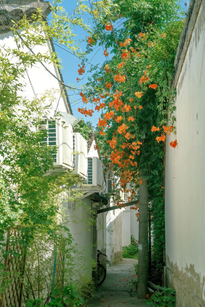 来自一位抖音博主，忘记名字了，有知道麻烦评论区告诉一下。