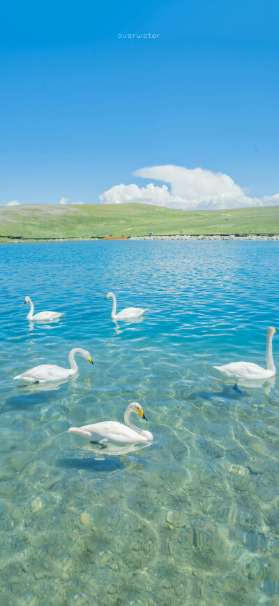 梦幻蓝 ©overwater
