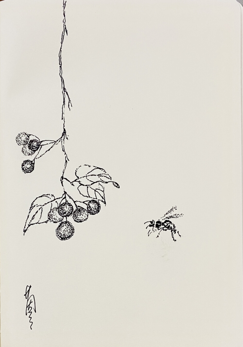 《针管笔点绘》