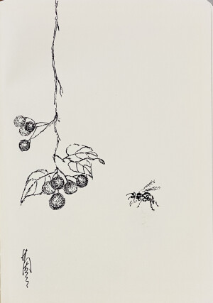 《针管笔点绘》