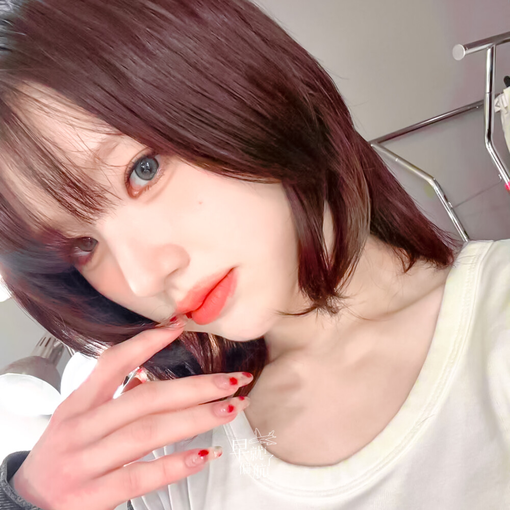田姬振