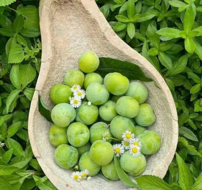 绿色系背景图