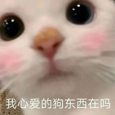 抽象表情包