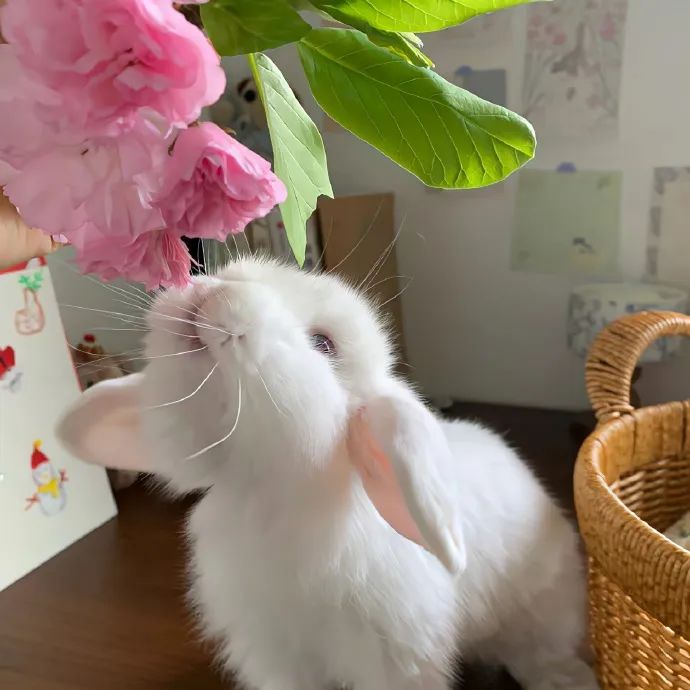 于孤独之巅  听见自由的回响
