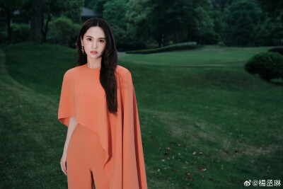 杨丞琳