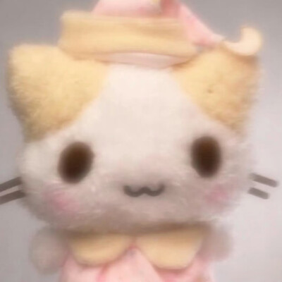 棉花糖猫