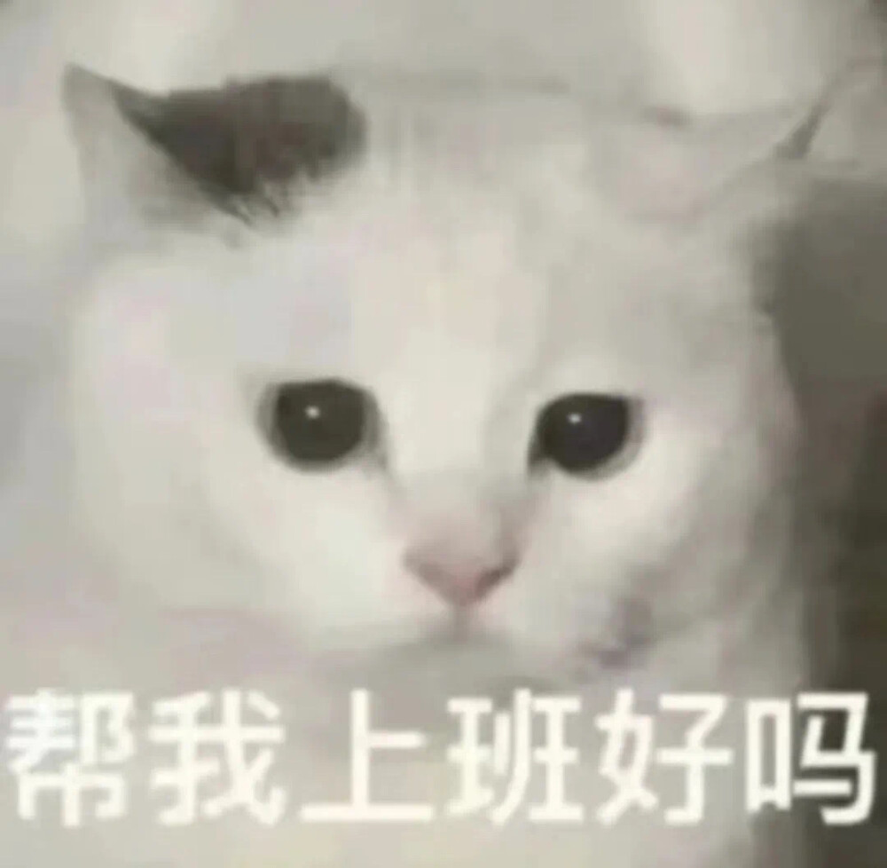 表情包