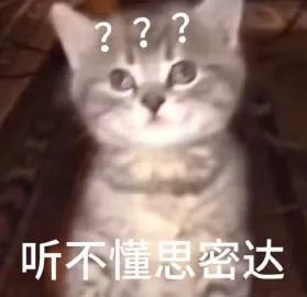 猫猫表情包