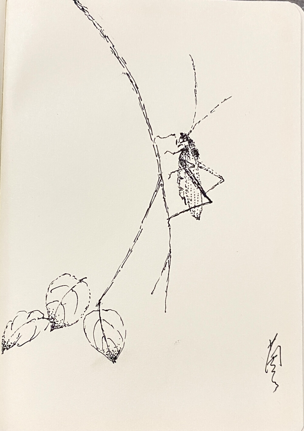 《针管笔点绘》