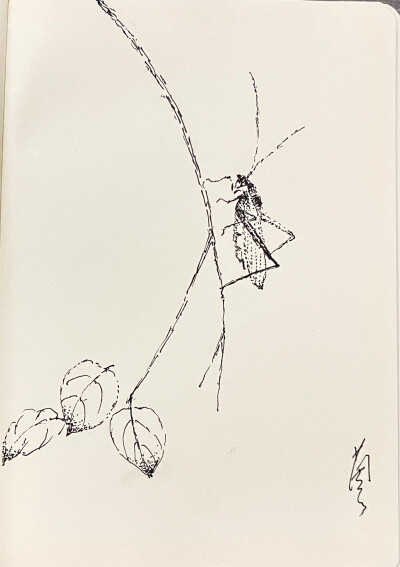 《针管笔点绘》