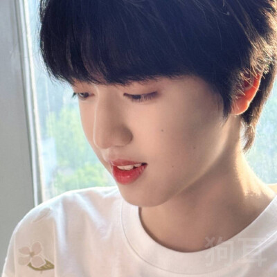 狗