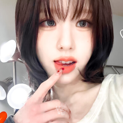 田姬振