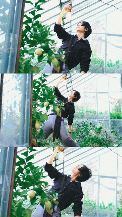 王一博