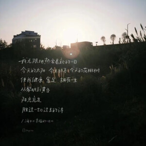 壁纸