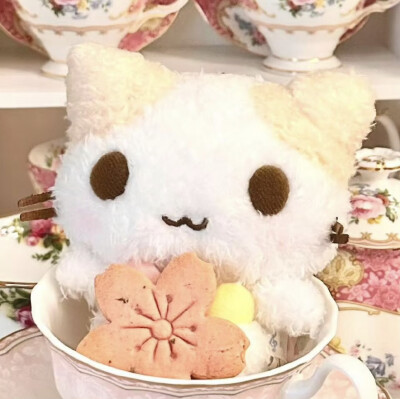 棉花糖猫