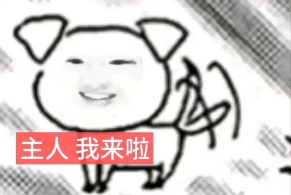 表情包