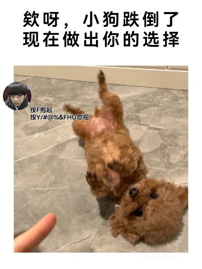 那很meng了