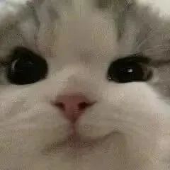 抽象表情包